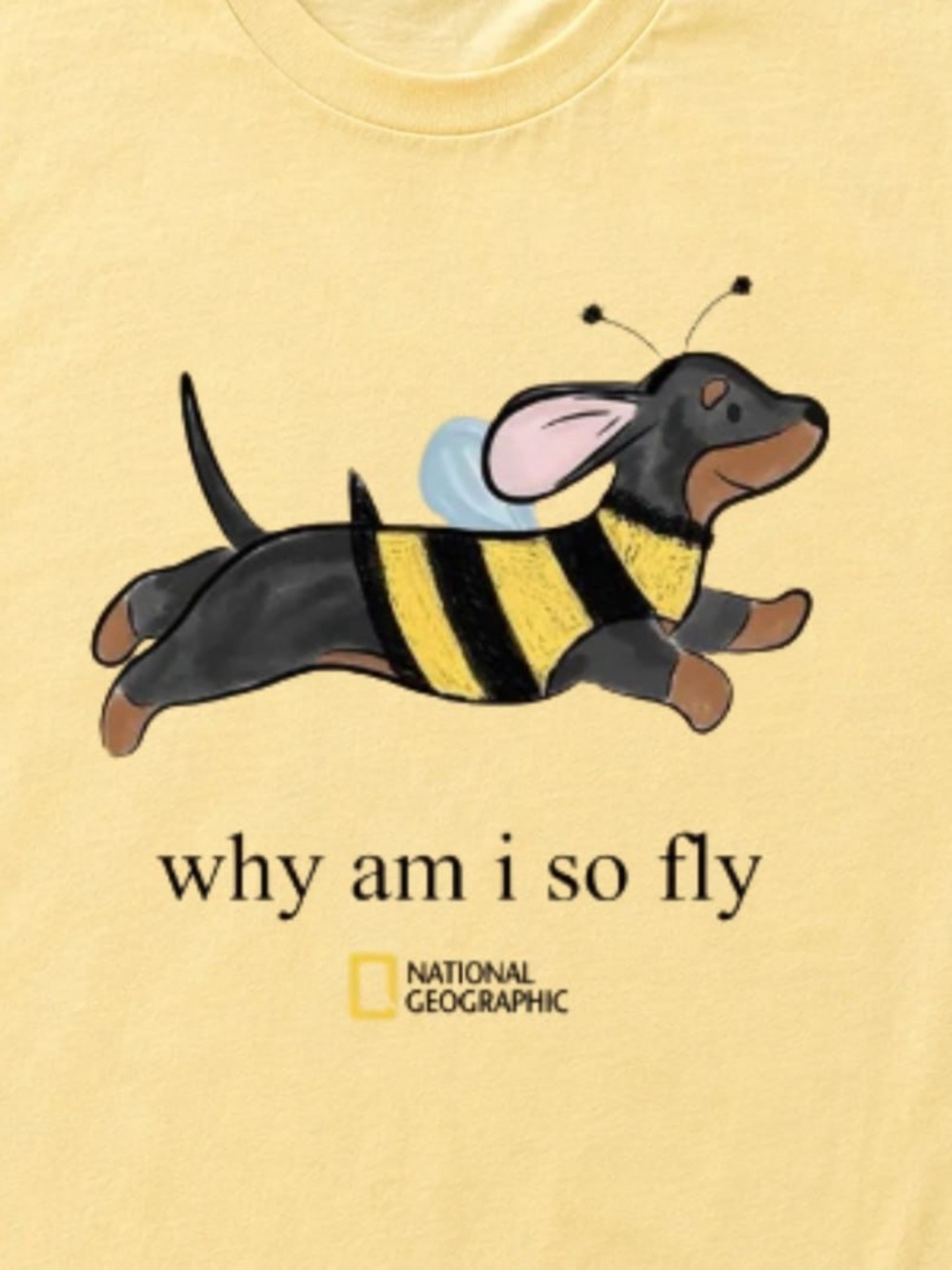 Gildan Yellow Graphic Tee with Dachshund Bee - Picture 2 of 3